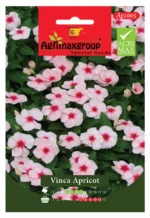 Agrimaxgroup Vinca Apricot Seeds (Ag1005)