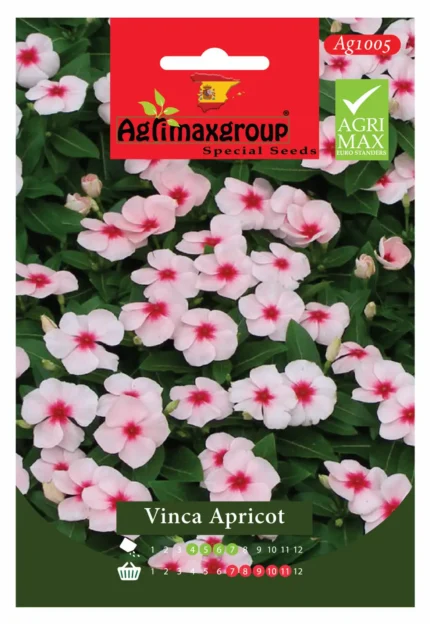 Agrimaxgroup Vinca Apricot Seeds (Ag1005)