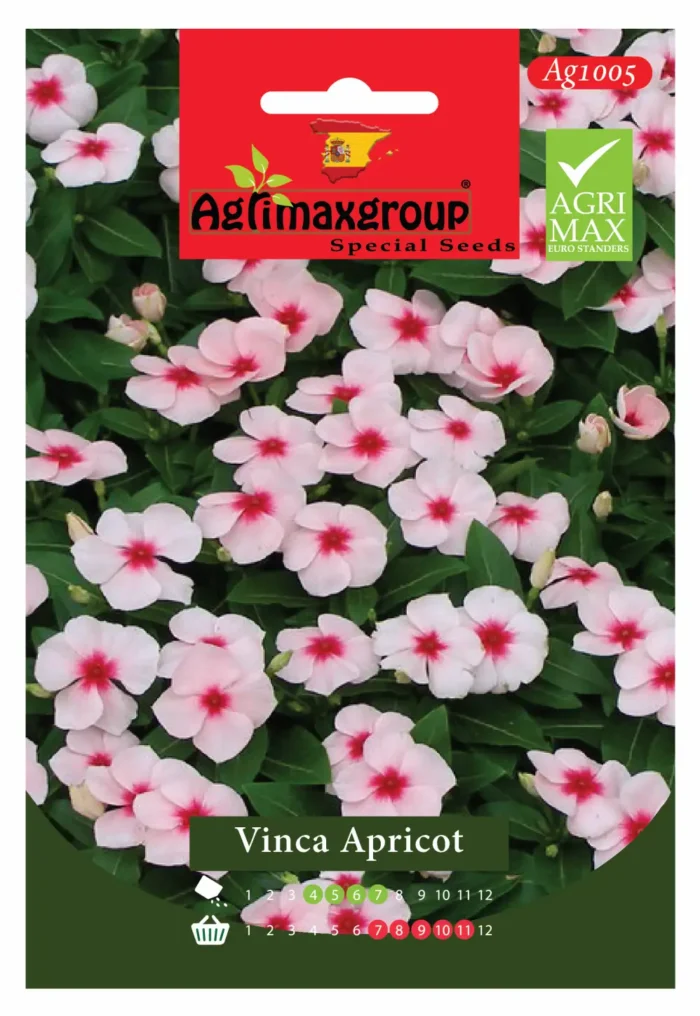 Agrimaxgroup Vinca Apricot Seeds (Ag1005)