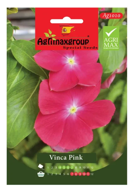 Vibrant Pink Blooms