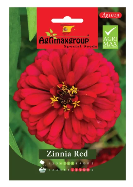 Bold Red Blooms for a Striking Garden