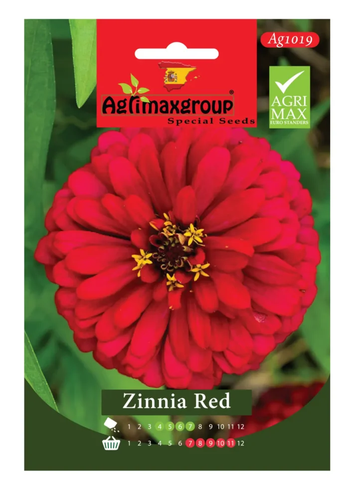 Bold Red Blooms for a Striking Garden