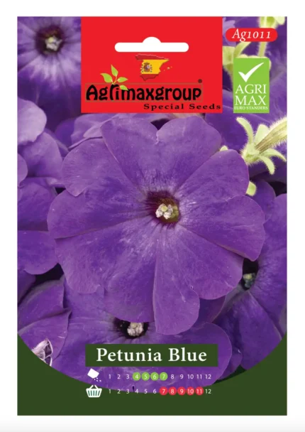 Bright Blue Blooms for Gardens & Pots
