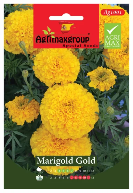 Bright Yellow Blooms for Gardens & Borders