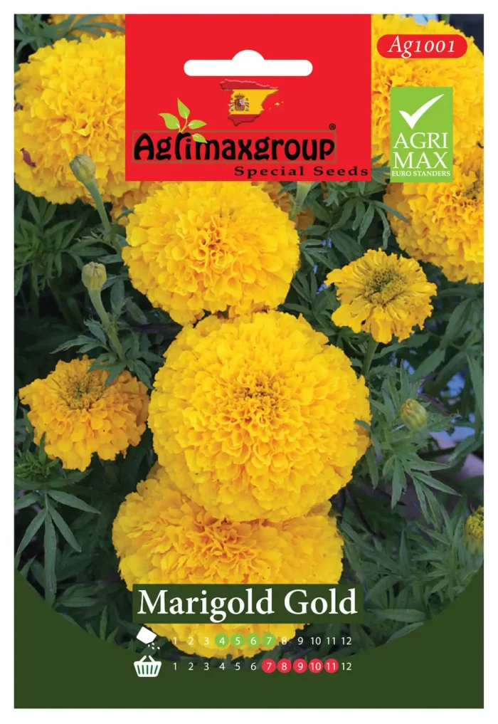 Bright Yellow Blooms for Gardens & Borders