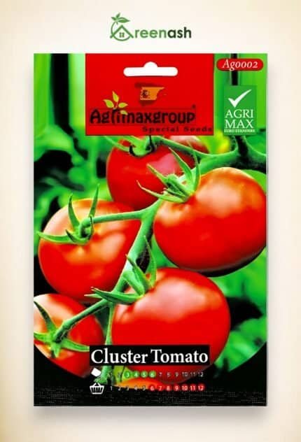 Tomato Seeds