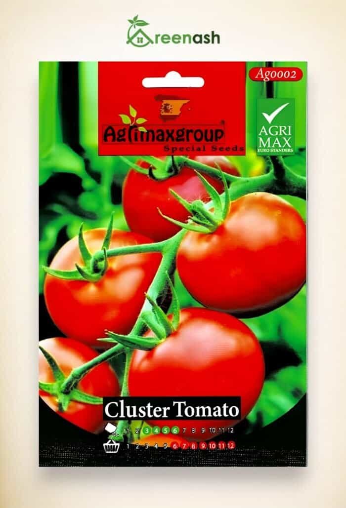 Tomato Seeds