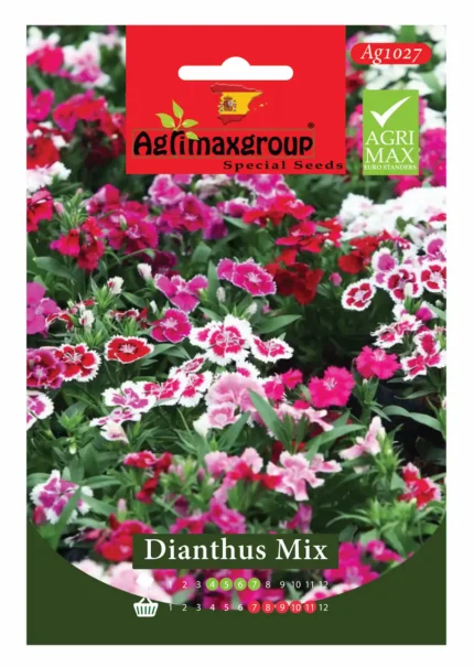 Colorful Perennial Blooms