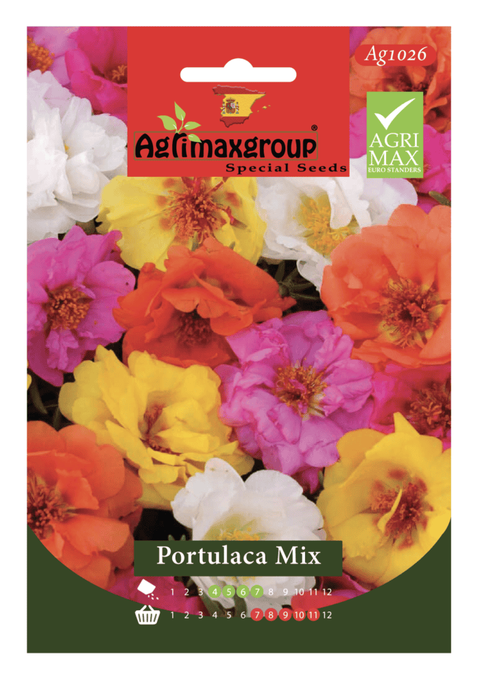 Colorful, Sun-Loving Blooms