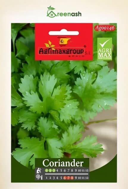 Coriander Seeds