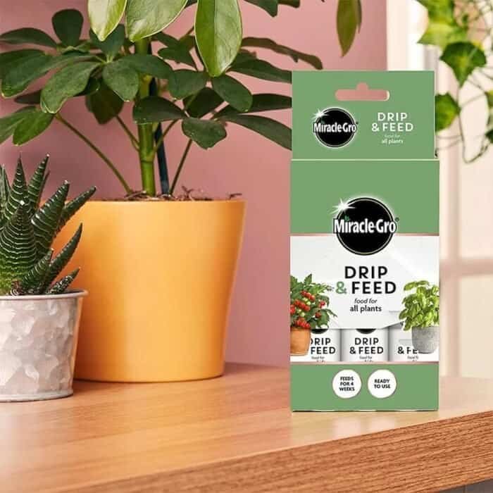 miracle gro drip & feed feature