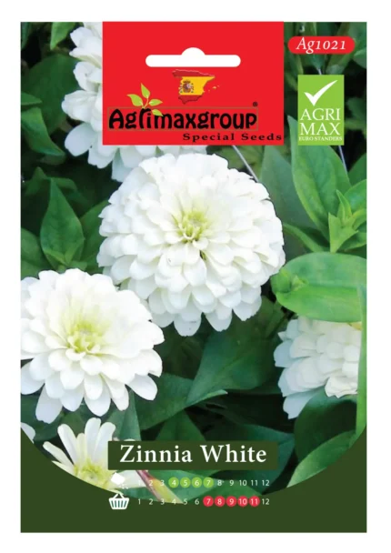 Elegant White Blooms for Classic Gardens