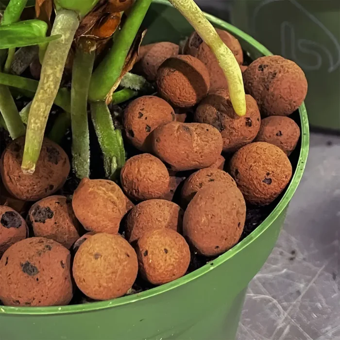 mills hydro stones pack