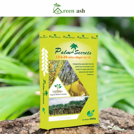 palm secrets 12 6 24 fertilizer