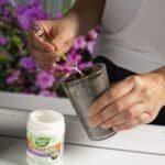 Rooting Hormone