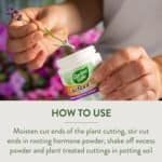 Garden Safe TakeRoot Rooting Hormone – Grow Plants from Cuttings - Image 9