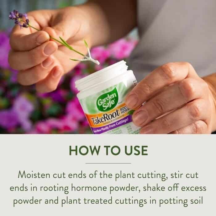 Garden Safe TakeRoot Rooting Hormone – Grow Plants from Cuttings - Image 9
