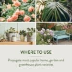 where to use