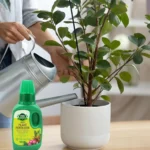 Vgrow Prime Liquid Plant Fertilizer – 250ml feature