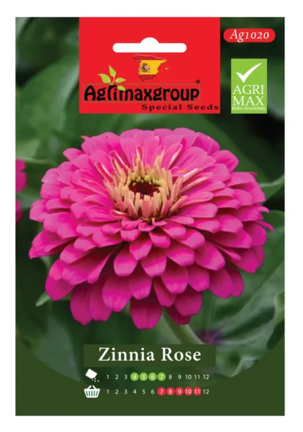 vibrant rose pink blooms
