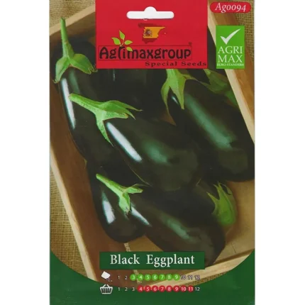 Black Eggplant Premium Quality Seeds
