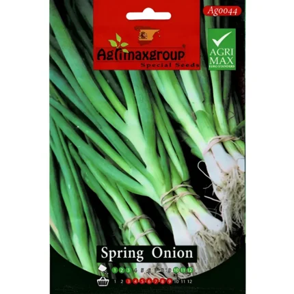 Easy-to-Grow Spring Onion Seeds