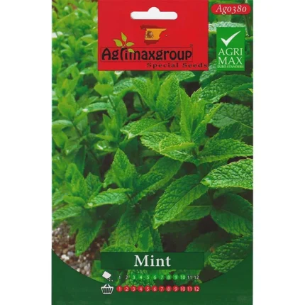 Fresh Mint Seeds - Grow Aromatic Mint