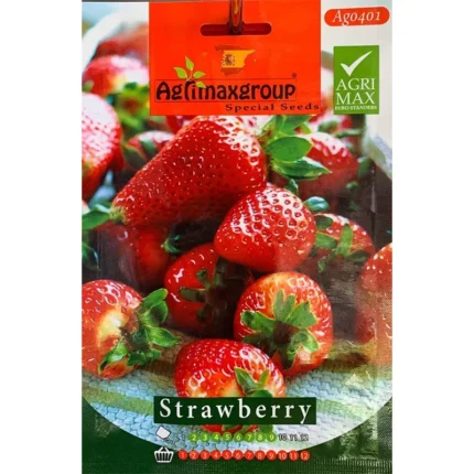 Premium Strawberry Seeds