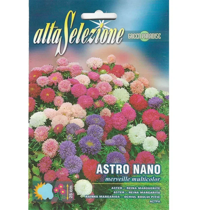 Alta Selezione Aster Nano Multicolor Premium Quality Seeds – Vibrant Blooms for Your Garden - Image 1