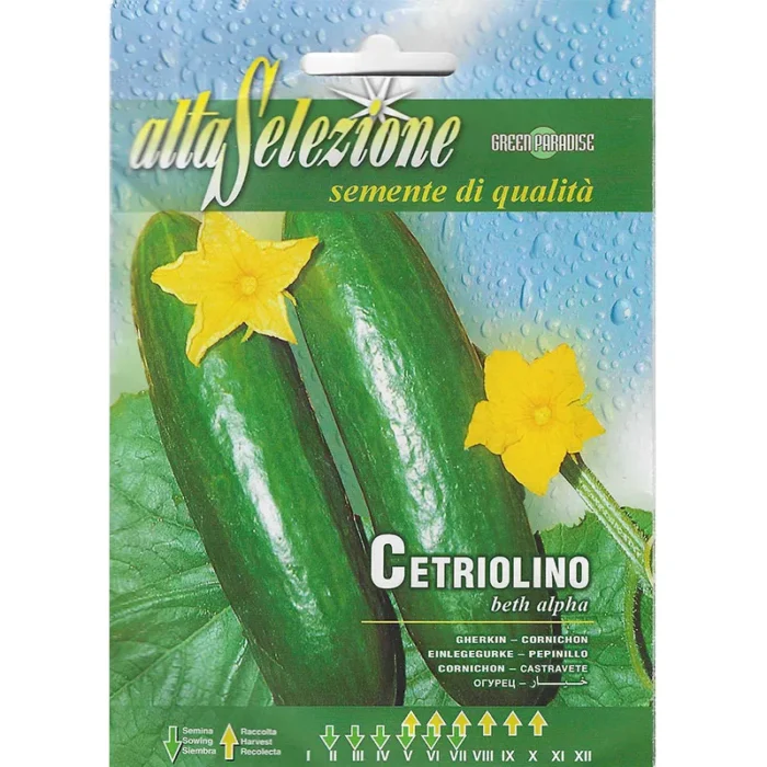 Gherkin Cetriolino Beth Alpha Seeds – Grow Lush, Crisp Pickling Cucumbers Effortlessly! - Image 1
