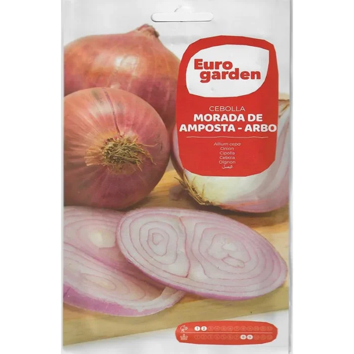 Amposta Purple Onion