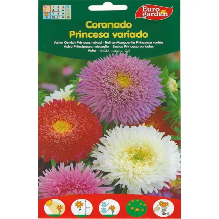 Aster Ostrich Princess Mixed