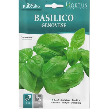 Basilico Genovese