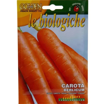 Carota Berlicum.