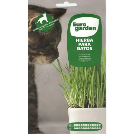 Cat Grass Hierba Para Gatos