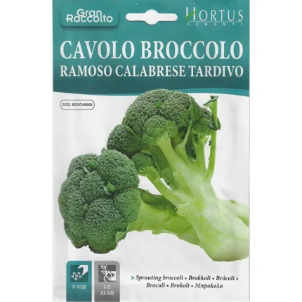 Cavolo Broccolo Ramoso Calabrese Tardivo