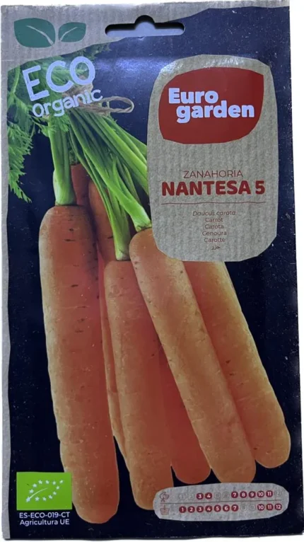 Daucus carota carrot premium seed