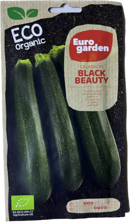 Eco Organic Calabacin Black Beauty