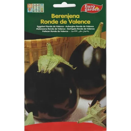 Eggplant Ronde De Valence