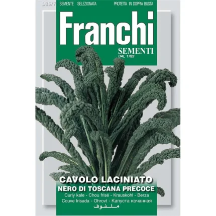 Franchi Curly Kale (Cavolo Laciniato Nero Di Toscana Precoce) Premium Quality Seeds