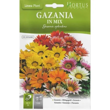Gazania In Mix