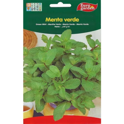 Green Mint Premium Seed
