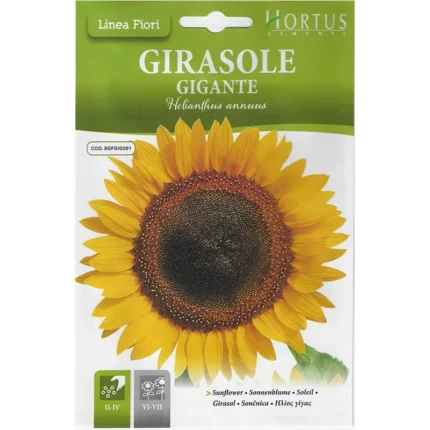Hortus Sunflower