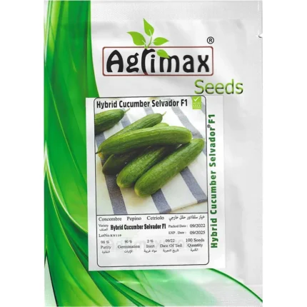 Hybrid Cucumber Selvador F1