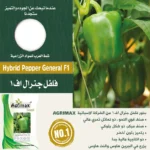 Hybrid Green Pepper General F11