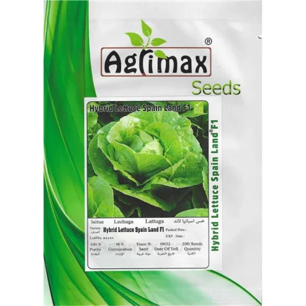 Hybrid Lettuce Spain Land F1