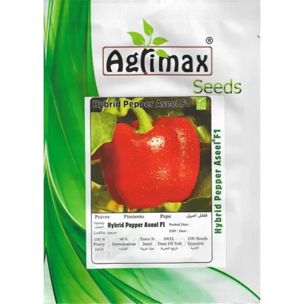 Hybrid Pepper Aseel F1 Premium