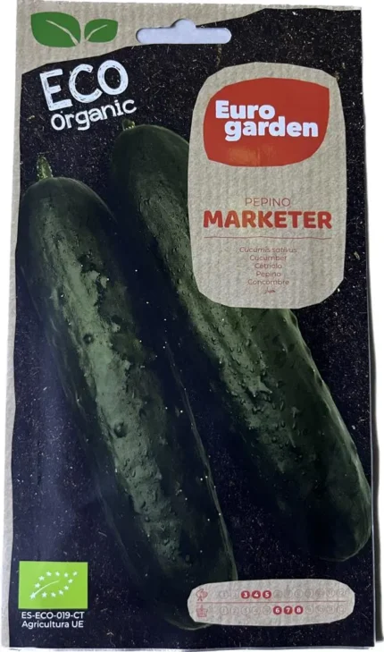 Pepino Marketer (Cucumis Sativus) Cucumber