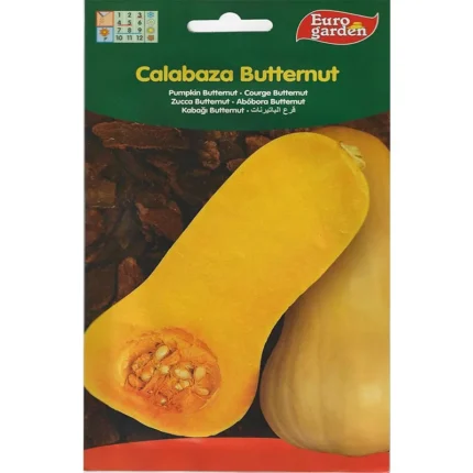 Pumpkin Buttemut