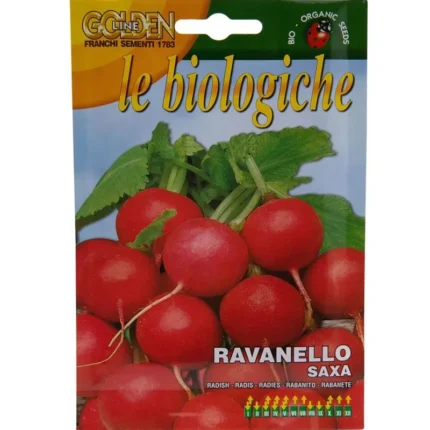 Ravanello Saxa